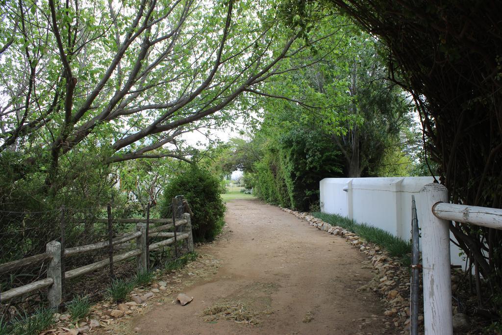 Acacia Cottage พรินซ์อัลเบิร์ต ภายนอก รูปภาพ